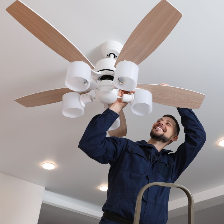 Ceiling Fans With Lights
